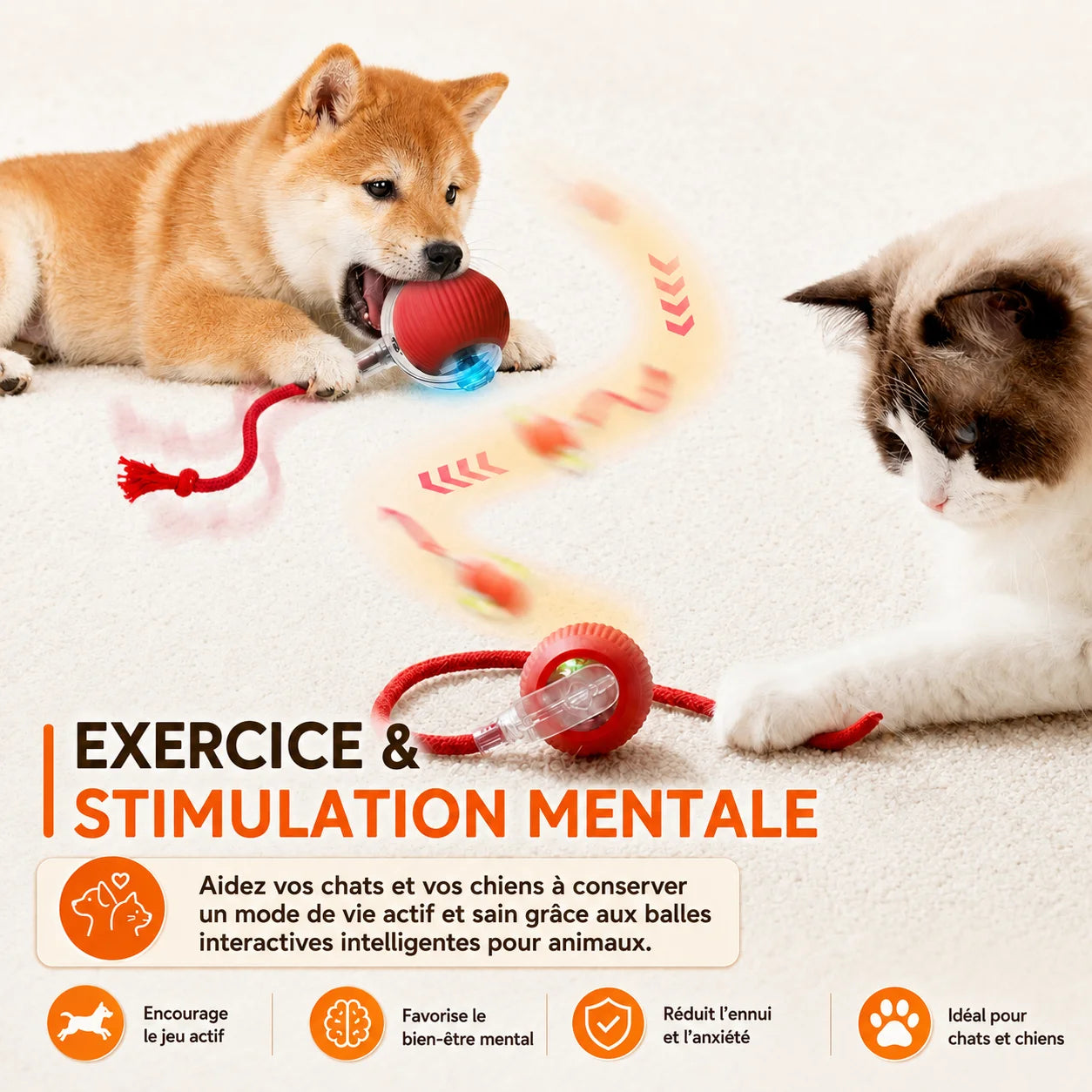 Balle Interactive Automatique pour Chien - Rechargeable et Intelligente