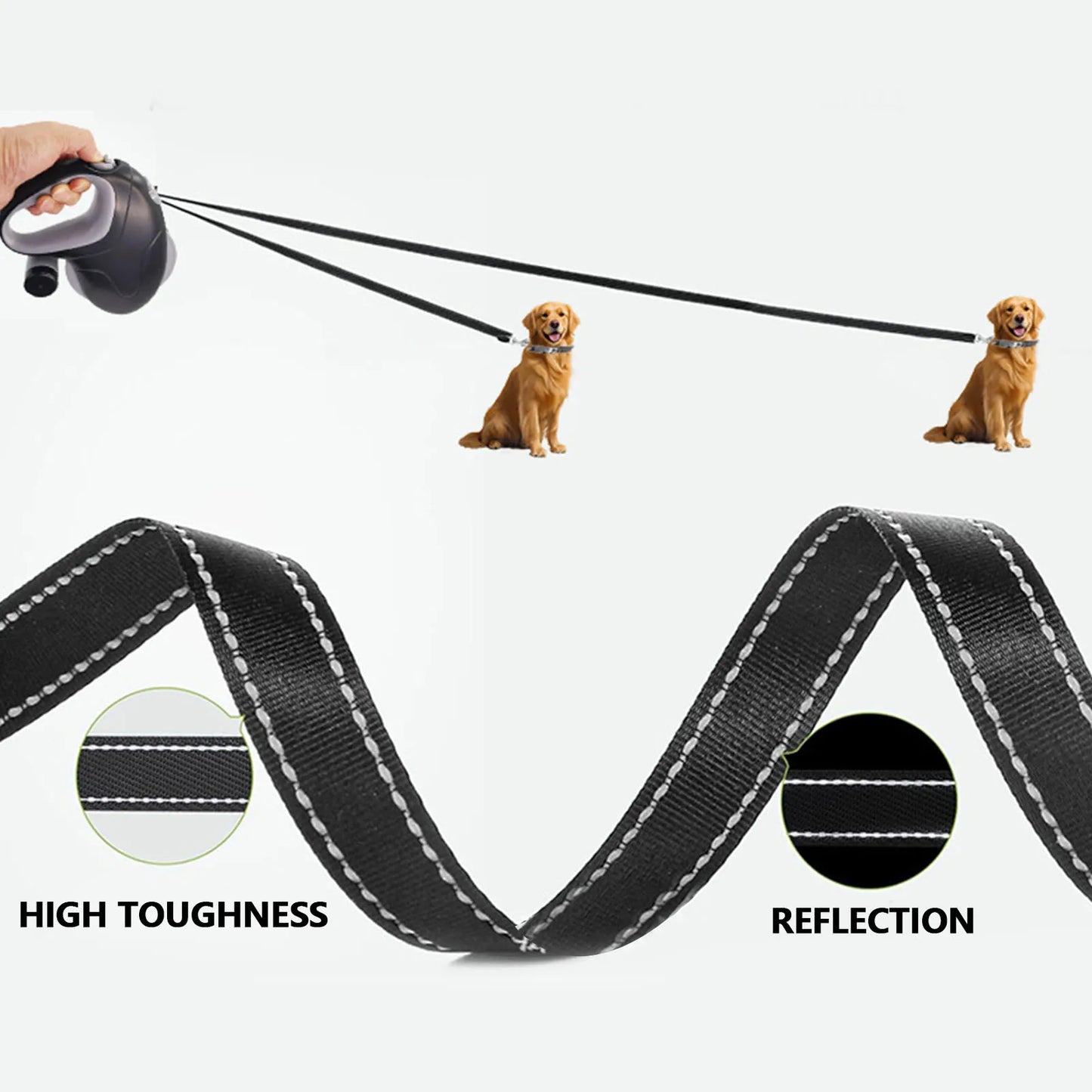 Laisse Retractable 10m pour Chien - Anti-Emmelement
