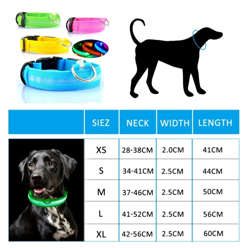 Collier Lumineux GlowPaw – LED Rechargeable pour Chien