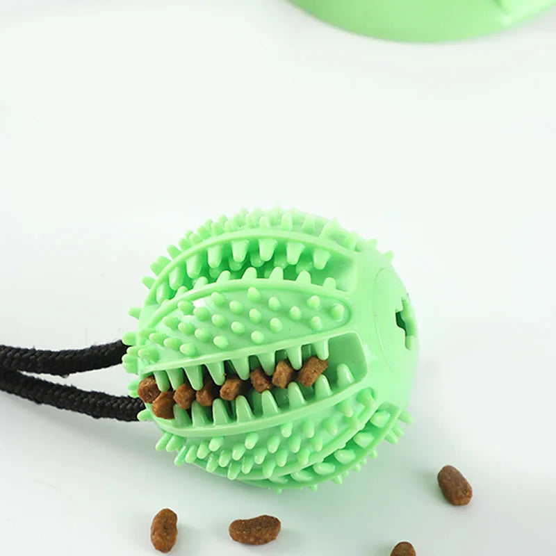 Jouet Interactif à Ventouse pour Chien – photo 4