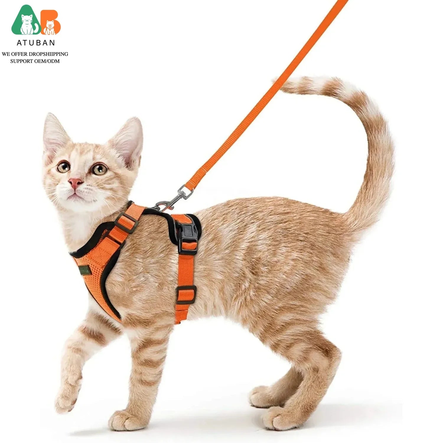 Harnais gilet anti-fugue pour chat avec laisse - photo 1