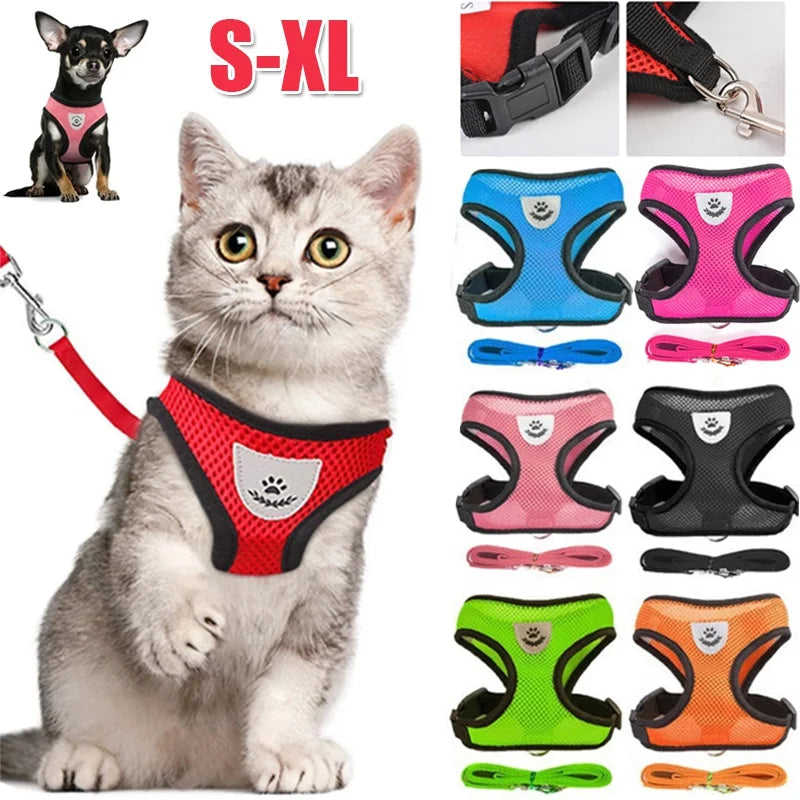 Harnais pour Chat et Petit Chien avec Laisse – Gilet Respirant Réfléchissant