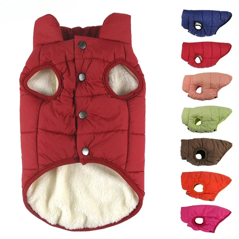 Doudoune Matelassée pour Chien – Manteau Chaud d'Hiver, du XS au XXXL
