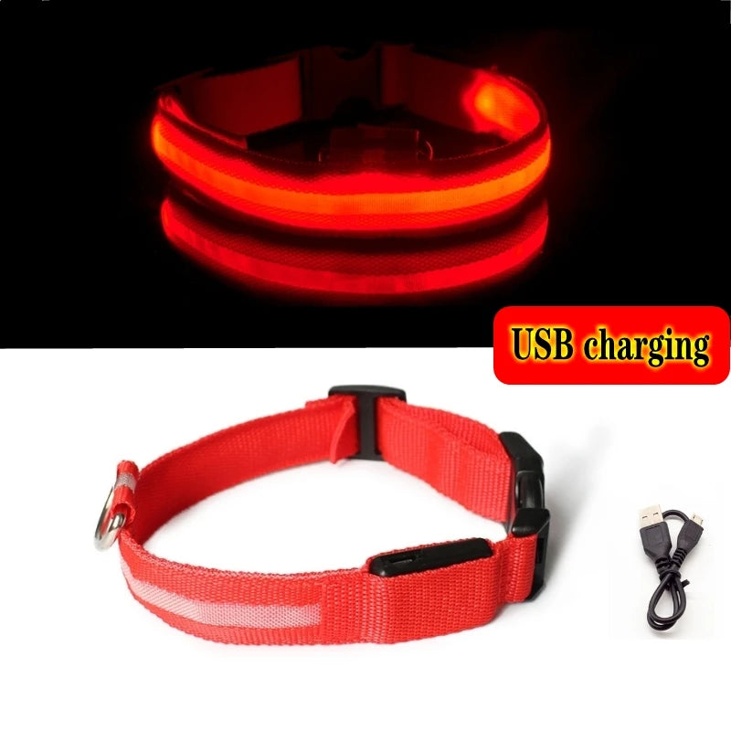 Collier Lumineux GlowPaw – LED Rechargeable pour Chien