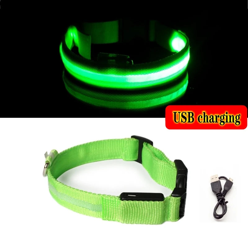 Collier Lumineux GlowPaw – LED Rechargeable pour Chien
