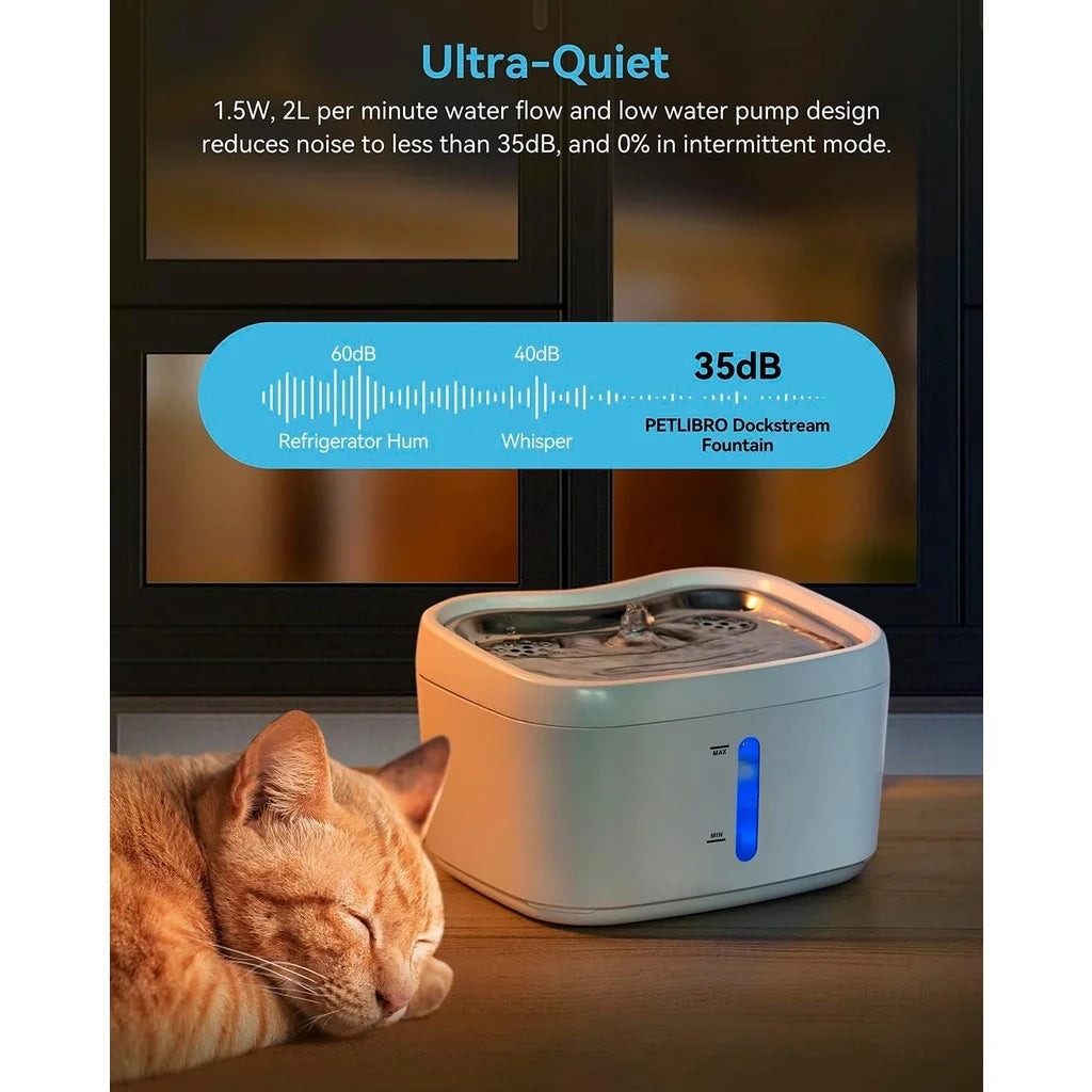 Fontaine à Eau pour Chat 2,5L avec Application - Connectée Inox