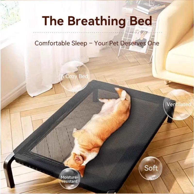 Lit d'Ete Respirant pour Chien - Camping Grand Chien