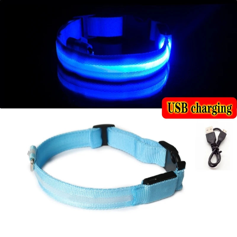 Collier Lumineux GlowPaw – LED Rechargeable pour Chien