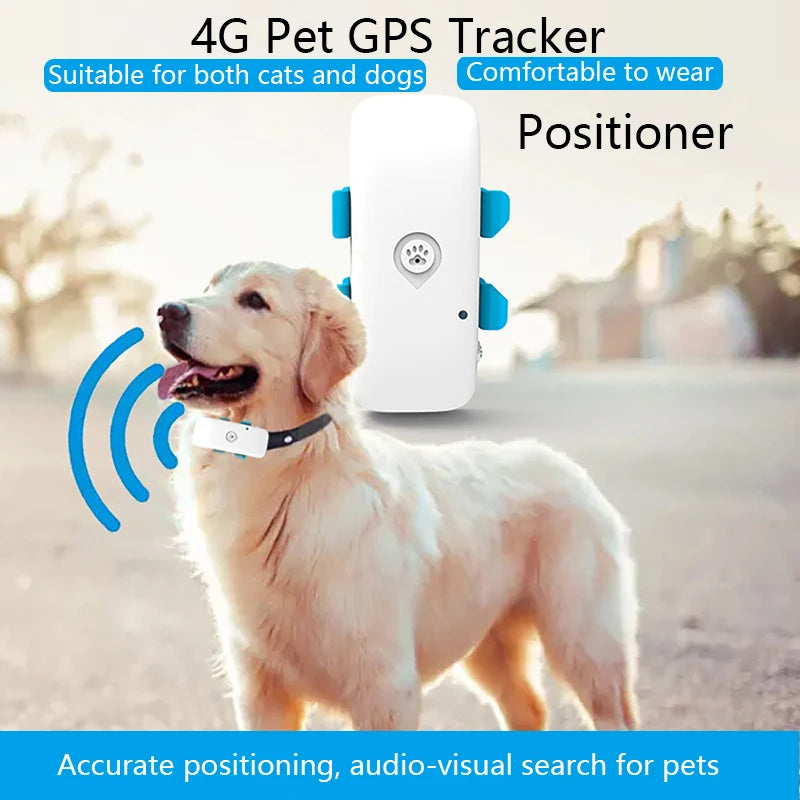 Traceur GPS 4G pour Chien et Chat - Étanche IP67 Suivi Temps Réel
