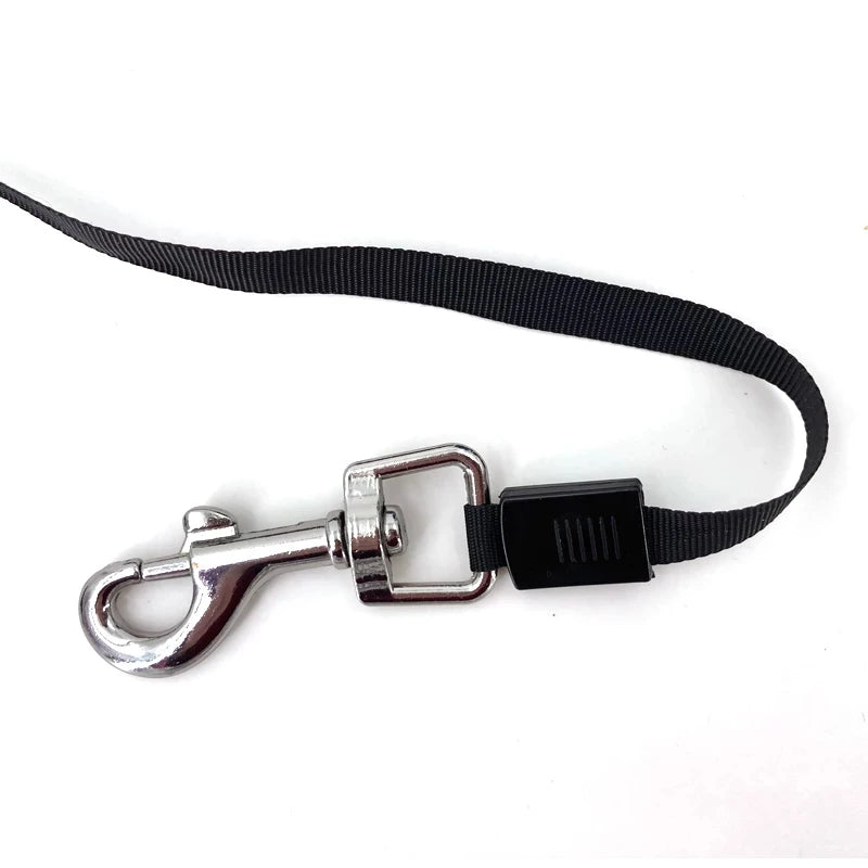 Laisse Retractable 3-5m pour Chien - Corde Flexible