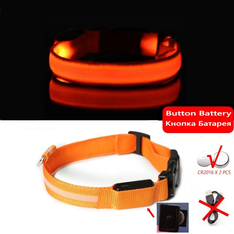 Collier Lumineux GlowPaw – LED Rechargeable pour Chien