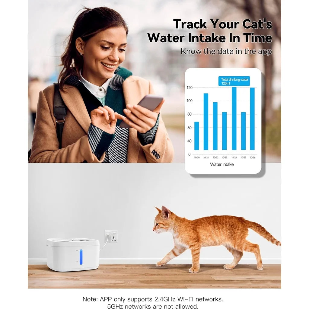 Fontaine à Eau pour Chat 2,5L avec Application - Connectée Inox