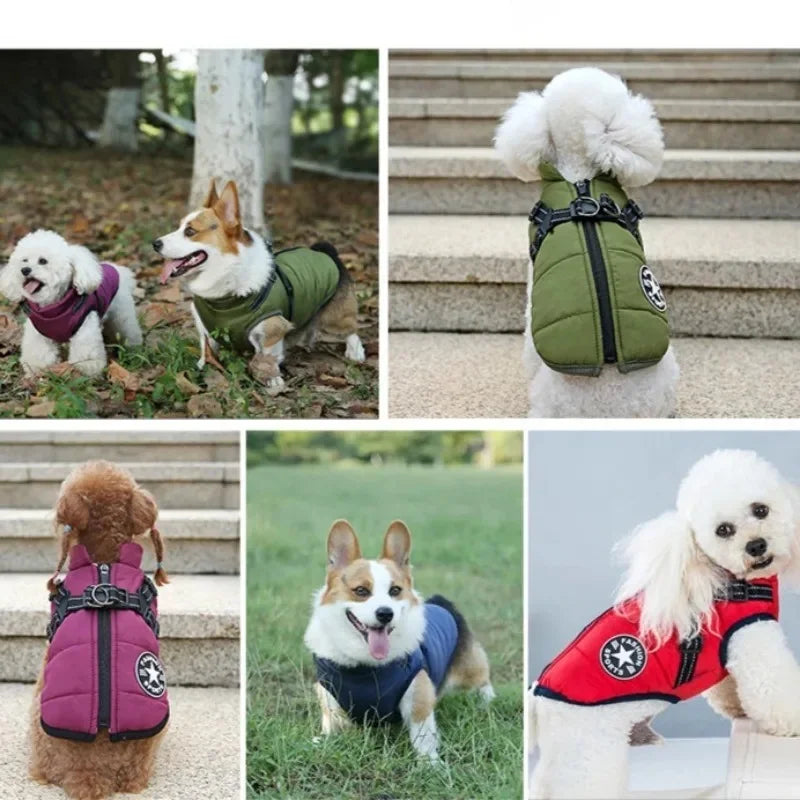 Veste d'Hiver avec Harnais Intégré pour Chien – photo 4