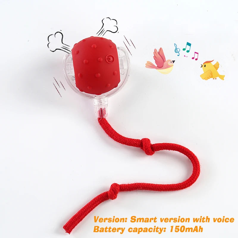 Balle Interactive Automatique pour Chien - Rechargeable et Intelligente