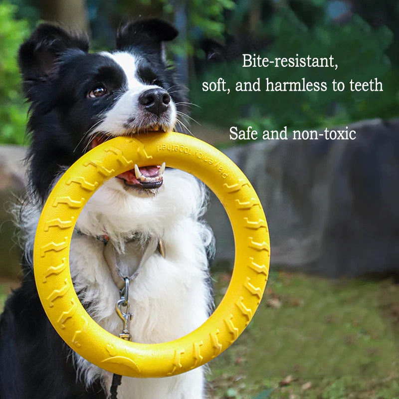 Lot de Jouets pour Chien en EVA – photo 2