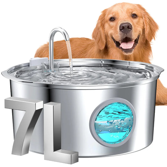 Grande Fontaine a Eau pour Chien - Inox Silencieuse Chien Chat