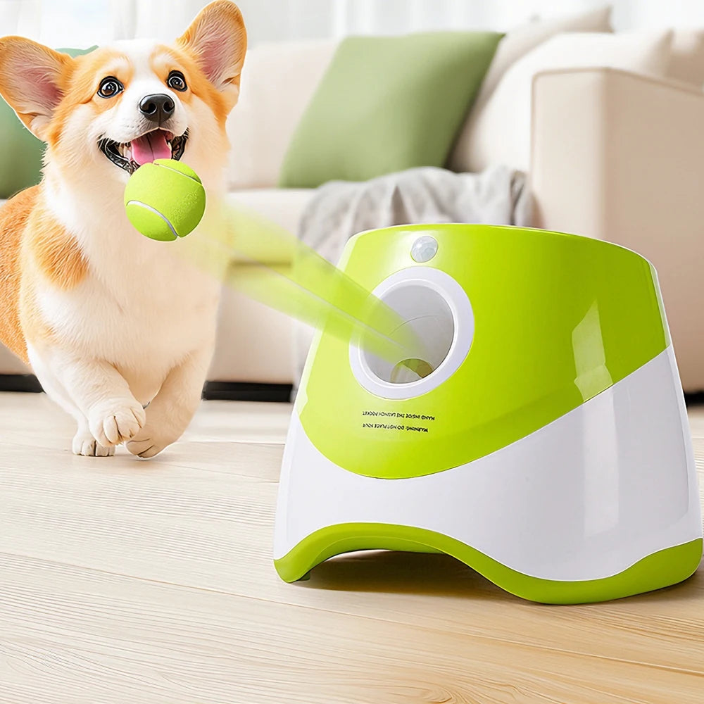 Chien corgi jouant avec le lanceur de balles automatique PlayFetch VESTRA PET