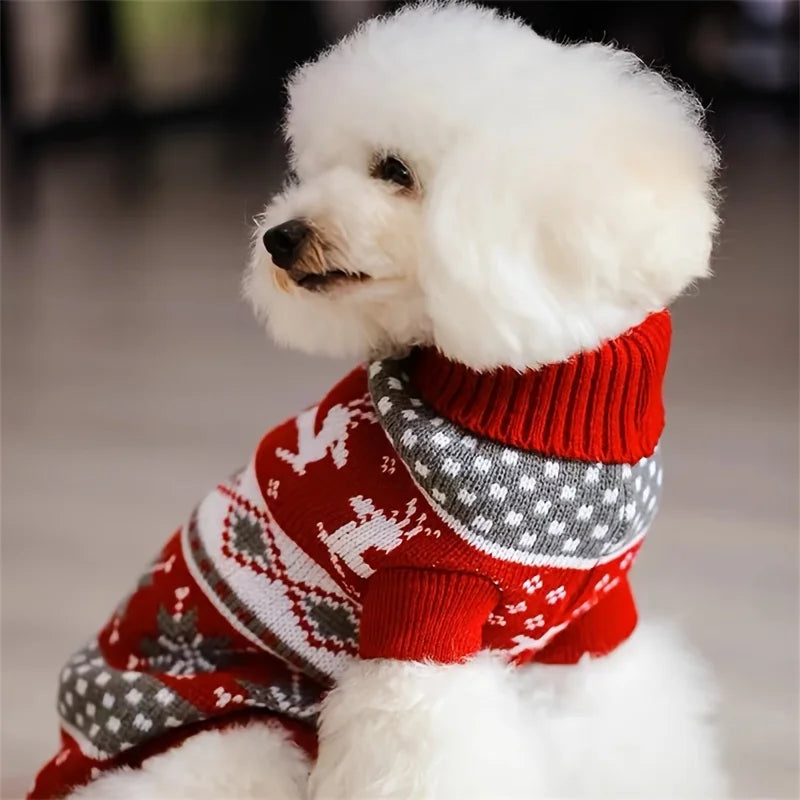 Pull de Noël Tricoté Motif Rennes – Petit Chien & Chat