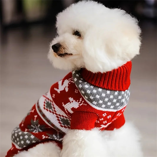 Pull de Noël Tricoté Motif Rennes – Petit Chien & Chat