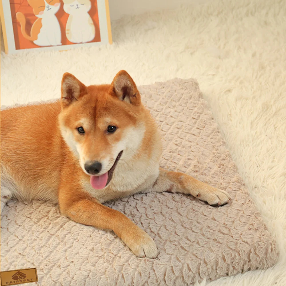 Coussin Mousse 3D pour Chien – photo 4
