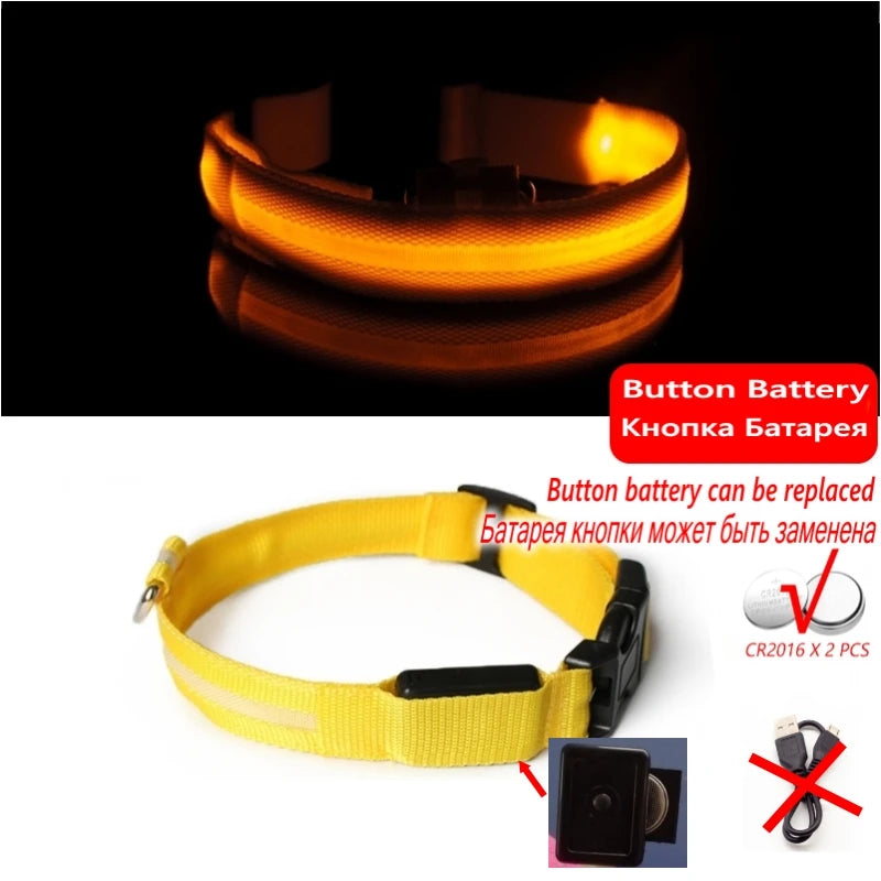 Collier Lumineux GlowPaw – LED Rechargeable pour Chien