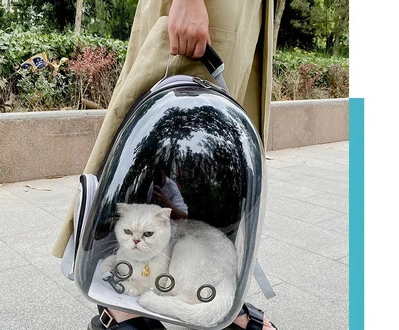 Sac de Transport Capsule Transparente - Chien et Chat