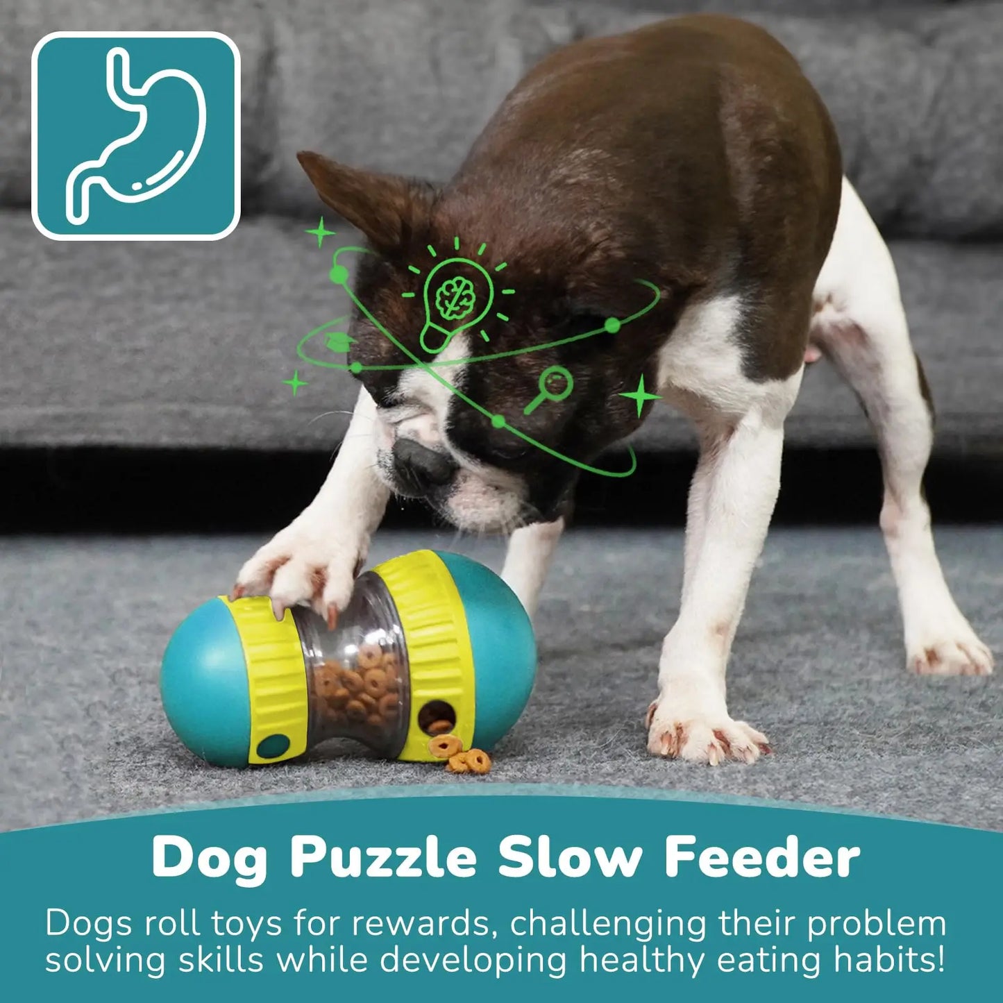 Jouet Interactif QI pour Chien - Distributeur Friandises Chien Chat