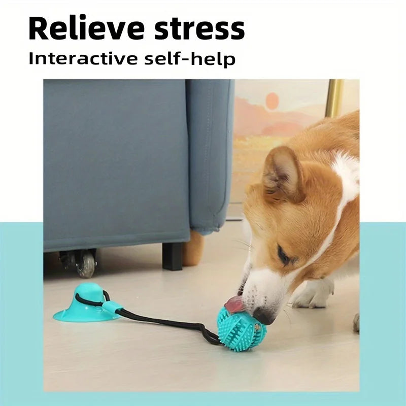 Jouet Interactif à Ventouse pour Chien – photo 5