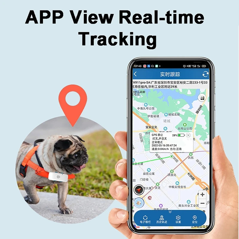 Traceur GPS 4G pour Chien et Chat - Étanche IP67 Suivi Temps Réel
