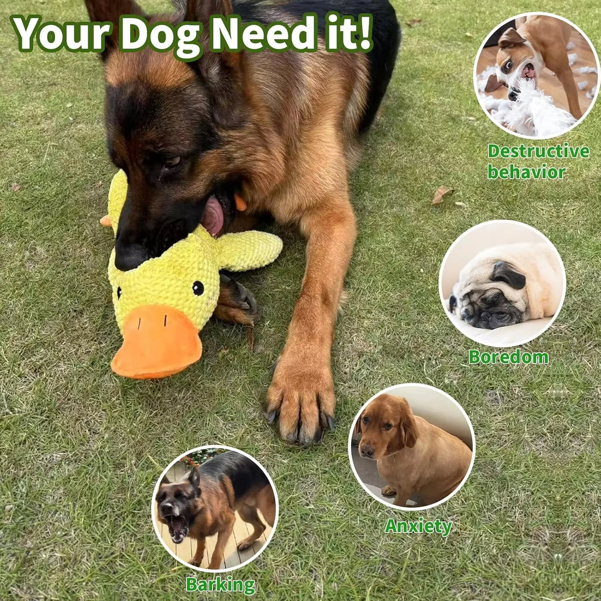 Canard en Peluche Couineur pour Chien – photo 3