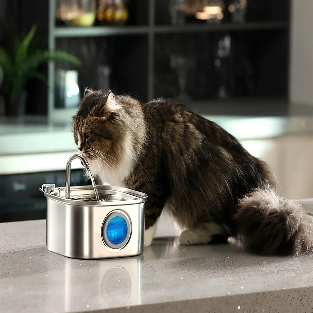 Chat à poil long buvant à la fontaine à eau connectée VESTRA PET 3,2L en inox