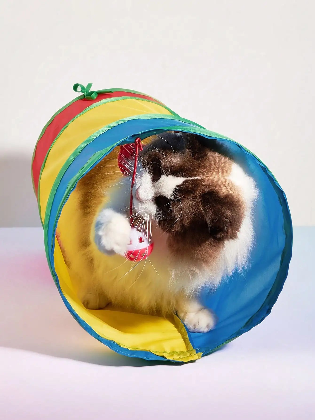 Tunnel de Jeu pour Chat - Demontable et Pliable