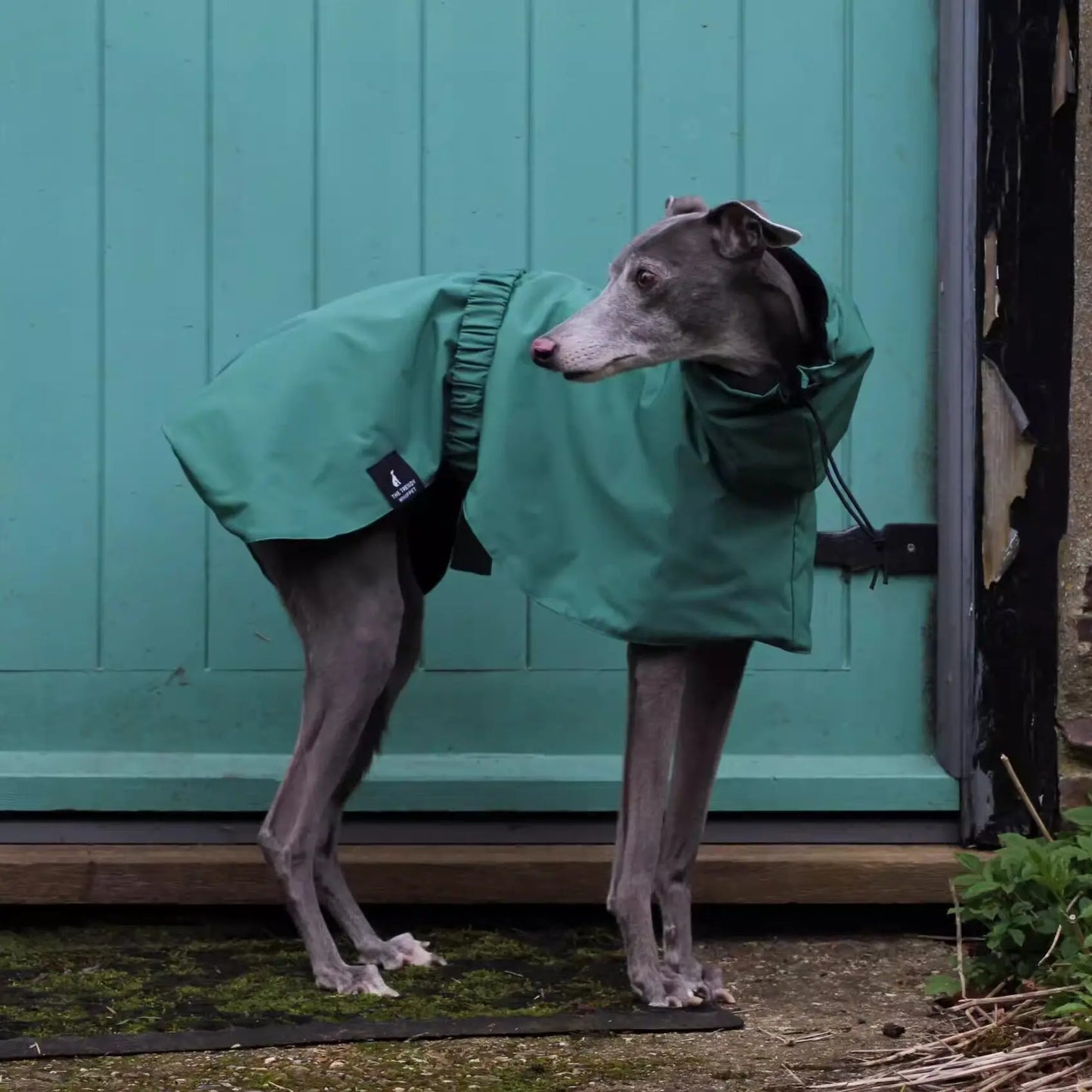Manteau de Pluie Ajustable pour Chien - Leger et Impermeable