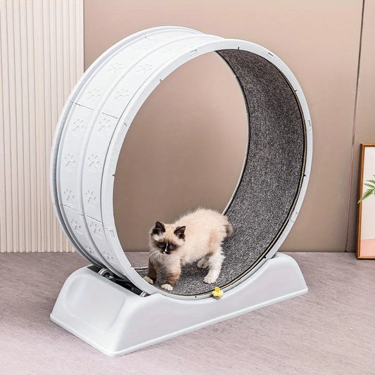 Roue d'exercice SpinCat WheelPro pour chat - vue en situation