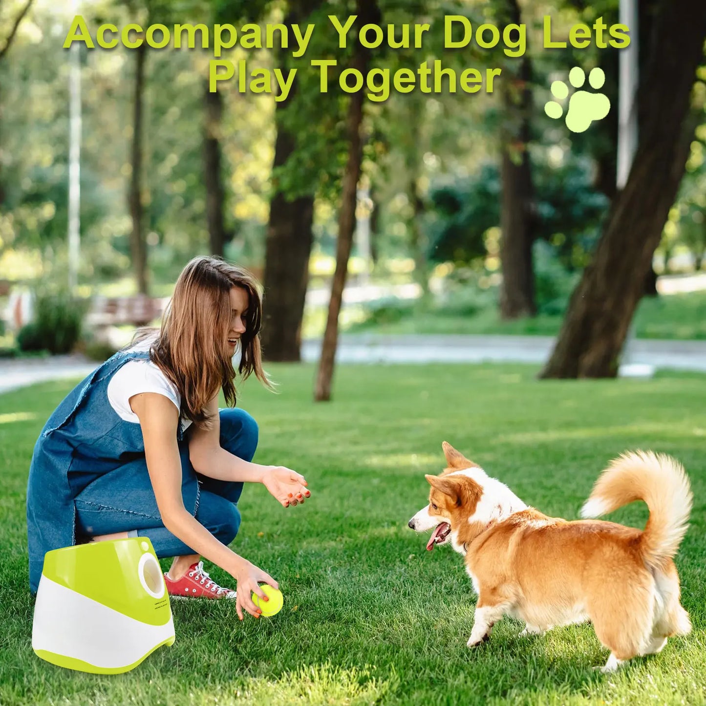Lanceur de Balles Automatique PlayFetch – Jouet Interactif pour Chien