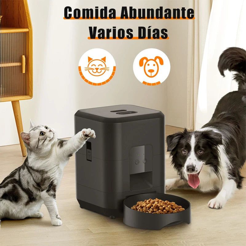 Mangeoire Connectée PetCam – Distributeur Automatique avec Caméra HD & WiFi