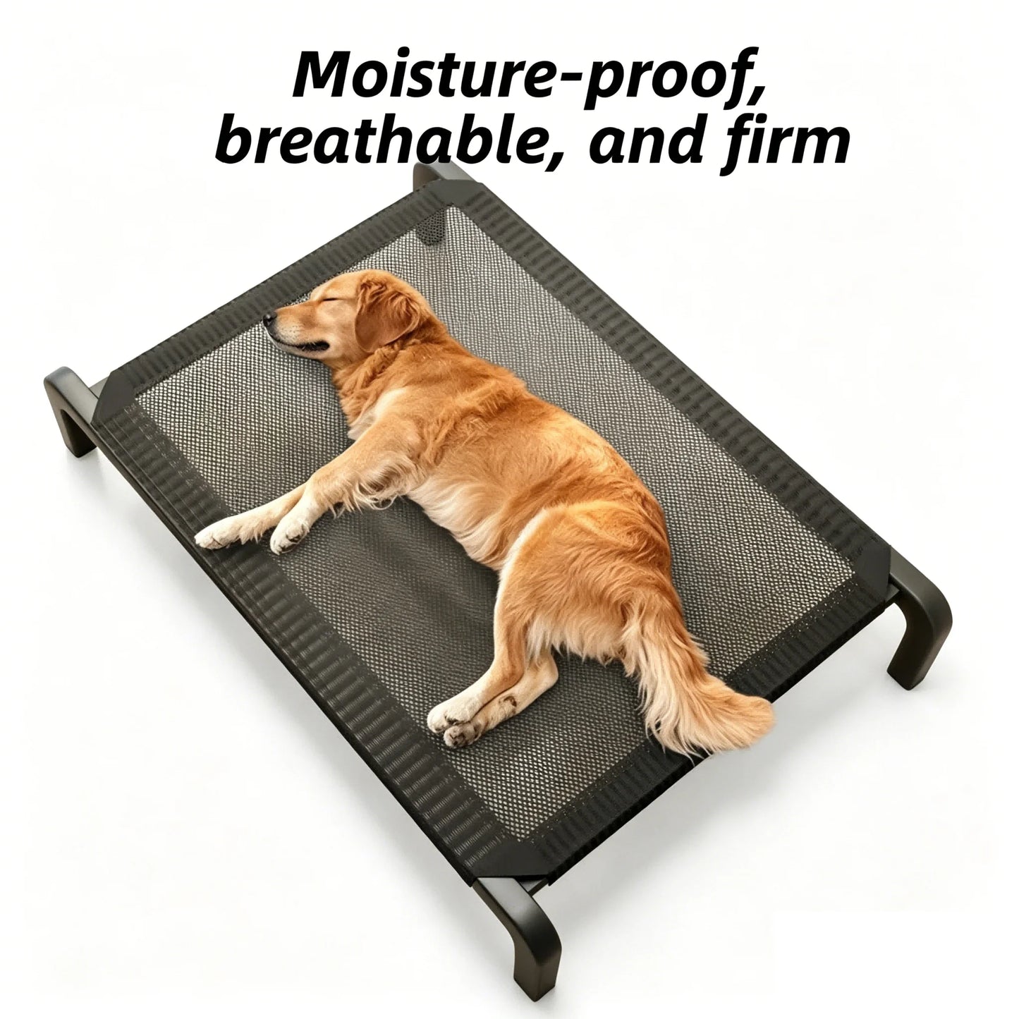 Panier Chien Toutes Saisons - Anti-Humidite et Surelevee