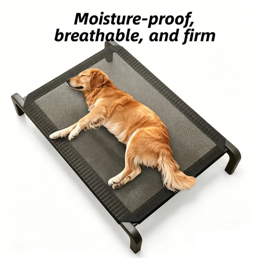 All-Season Dog Bed - Moisture-Resistant and Raised