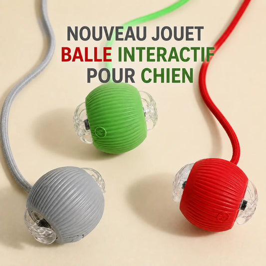 Balle Interactive Automatique pour Chien – vue 6