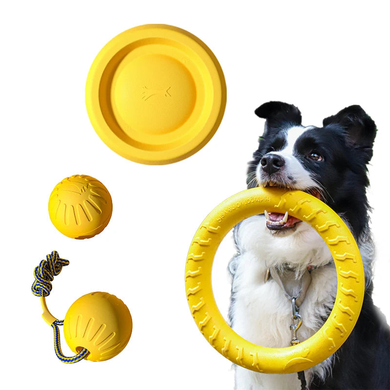 Lot de Jouets pour Chien en EVA – Frisbee, Balle & Corde