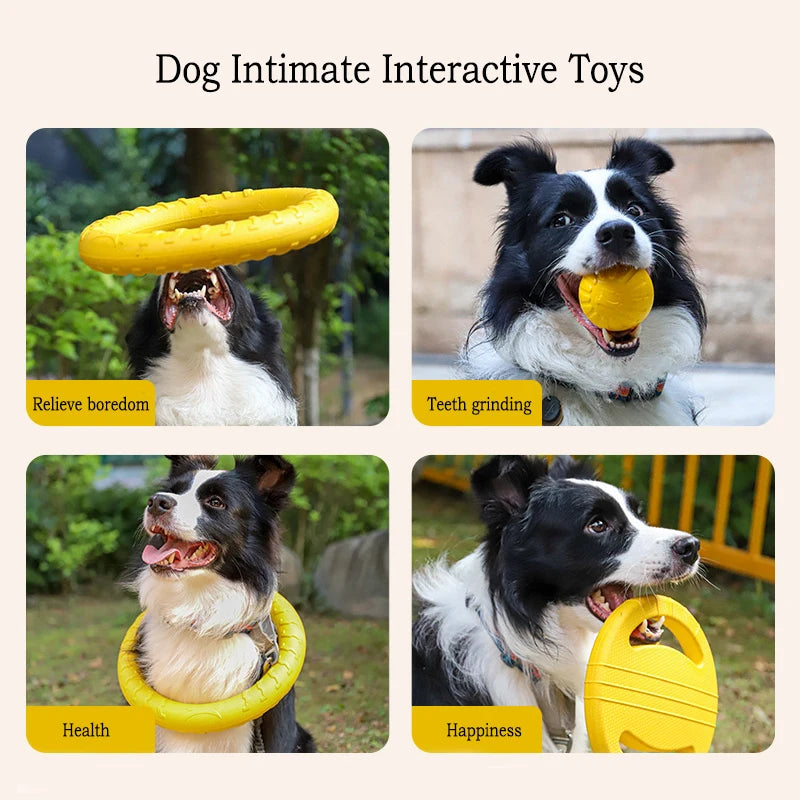 Lot de Jouets pour Chien en EVA – photo 4