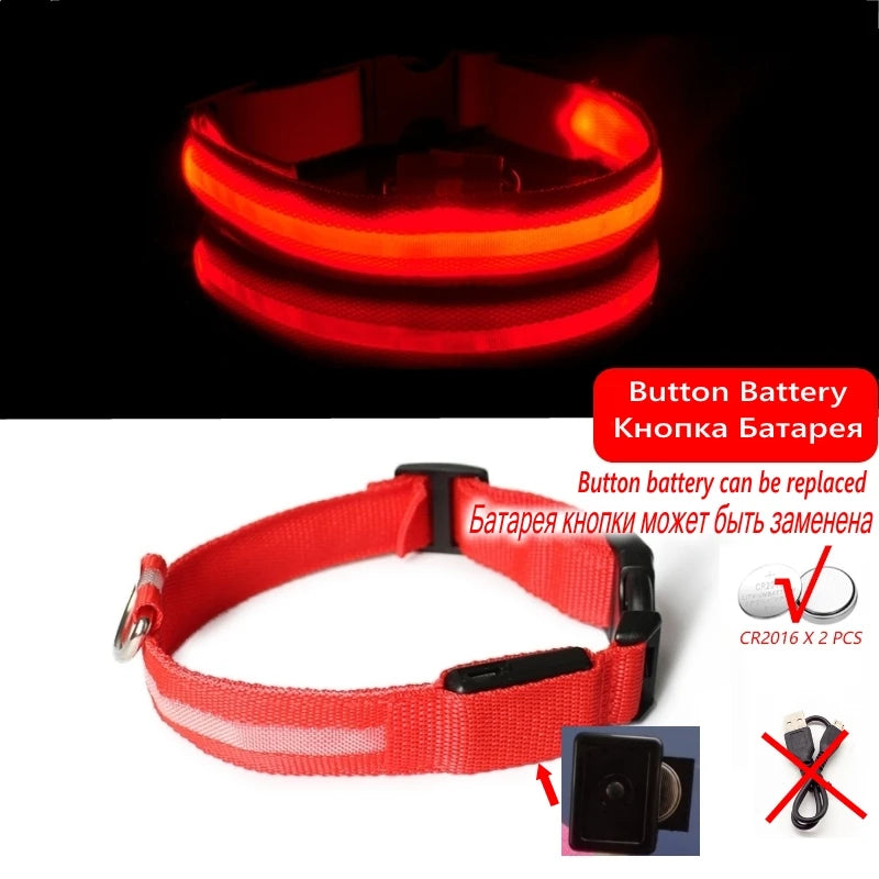 Collier Lumineux GlowPaw – LED Rechargeable pour Chien