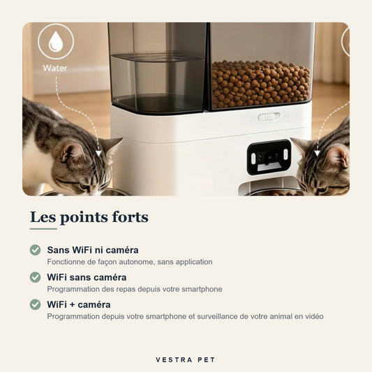 Points forts du distributeur croquettes et eau 2 en 1 pour chat
