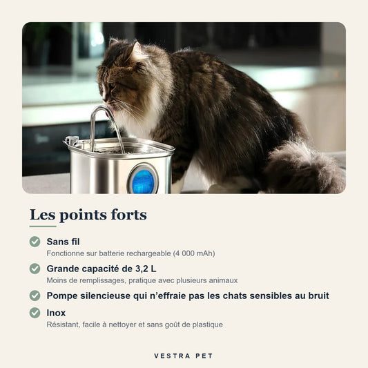 Points forts de la fontaine à eau 3,2 L sans fil pour chat