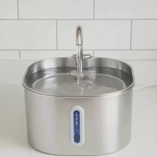 Fontaine ZenFlow inox 2,2 L VESTRA PET en fonctionnement avec un chat et un chien