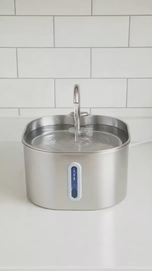 Fontaine ZenFlow inox 2,2 L VESTRA PET en fonctionnement avec un chat et un chien