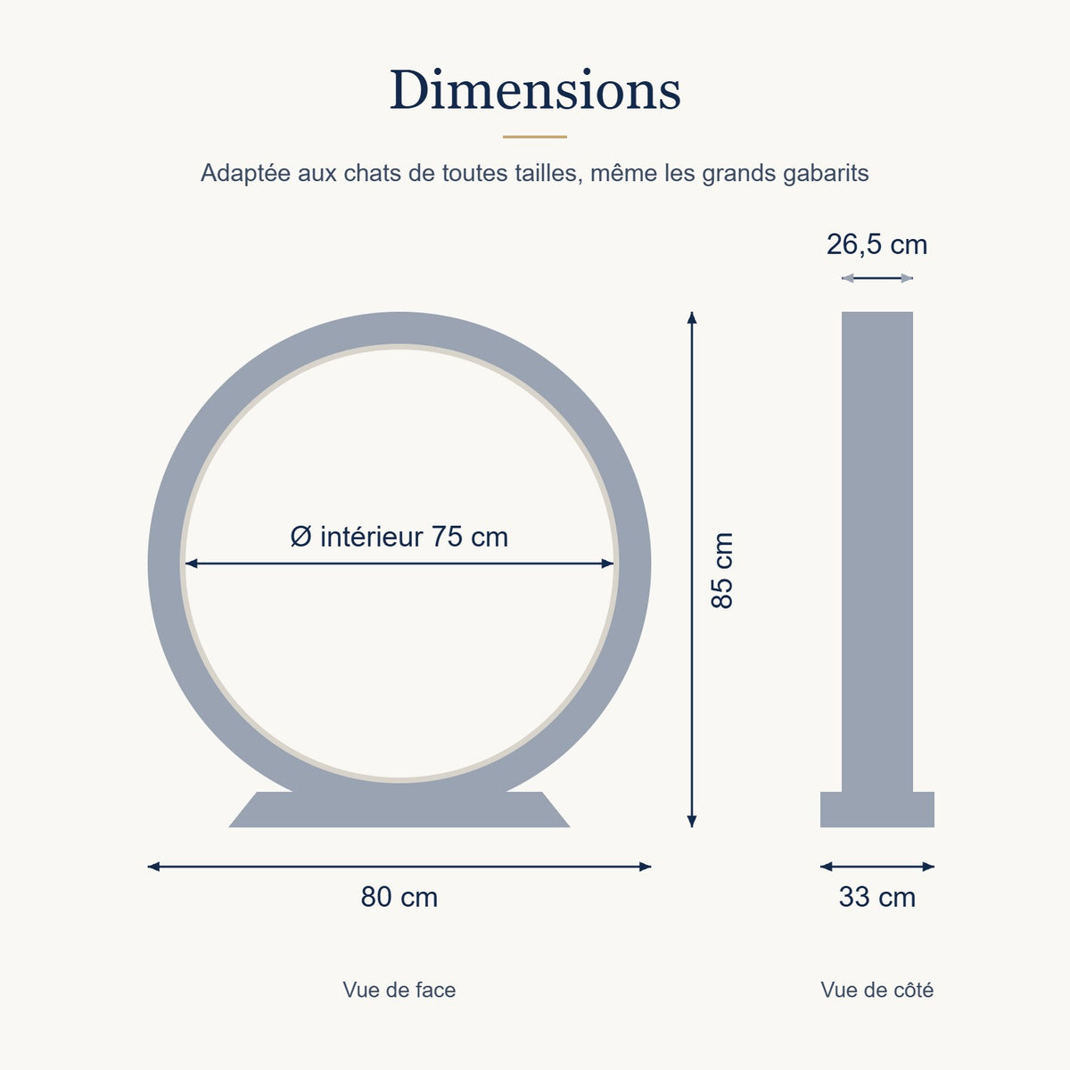 Dimensions de la roue SpinCat : 80 × 85 × 33 cm, diamètre intérieur 75 cm