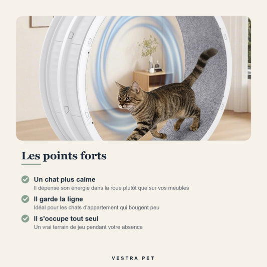 Points forts de la roue d'exercice SpinCat WheelPro pour chat